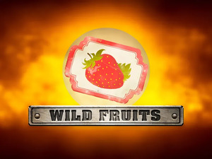 Wild Fruits - Cassino - Ritzslots