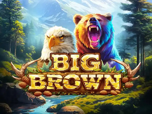 Big Brown - Cassino - Ritzslots