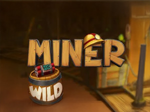 Miner - Cassino - Ritzslots