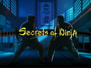 Ninja - Cassino - Ritzslots