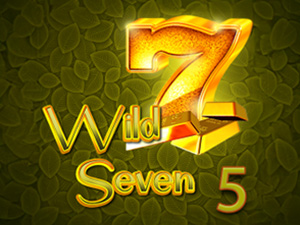 Wild Seven 5 - Cassino - Ritzslots