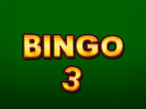 Bingo 3 - Cassino - Ritzslots