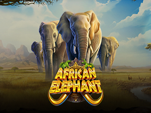 African Elephant - Cassino - Ritzslots
