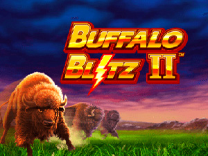 buffaloblitz2