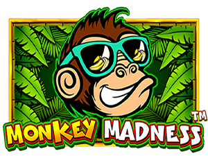 Monkey Madness - Cassino - Ritzslots