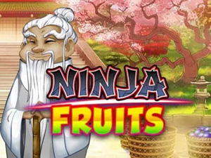 Ninja Fruits - Cassino - Ritzslots
