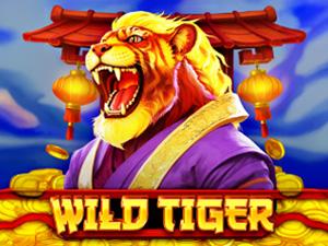 Wild Tiger - Cassino - Ritzslots