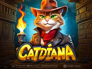 CATDIANA - Cassino - Ritzslots