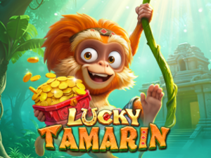Lucky Tamarin - Cassino - Ritzslots