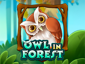 Owl In Forest - Cassino - Ritzslots